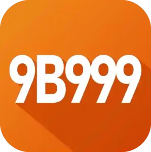 9blogo